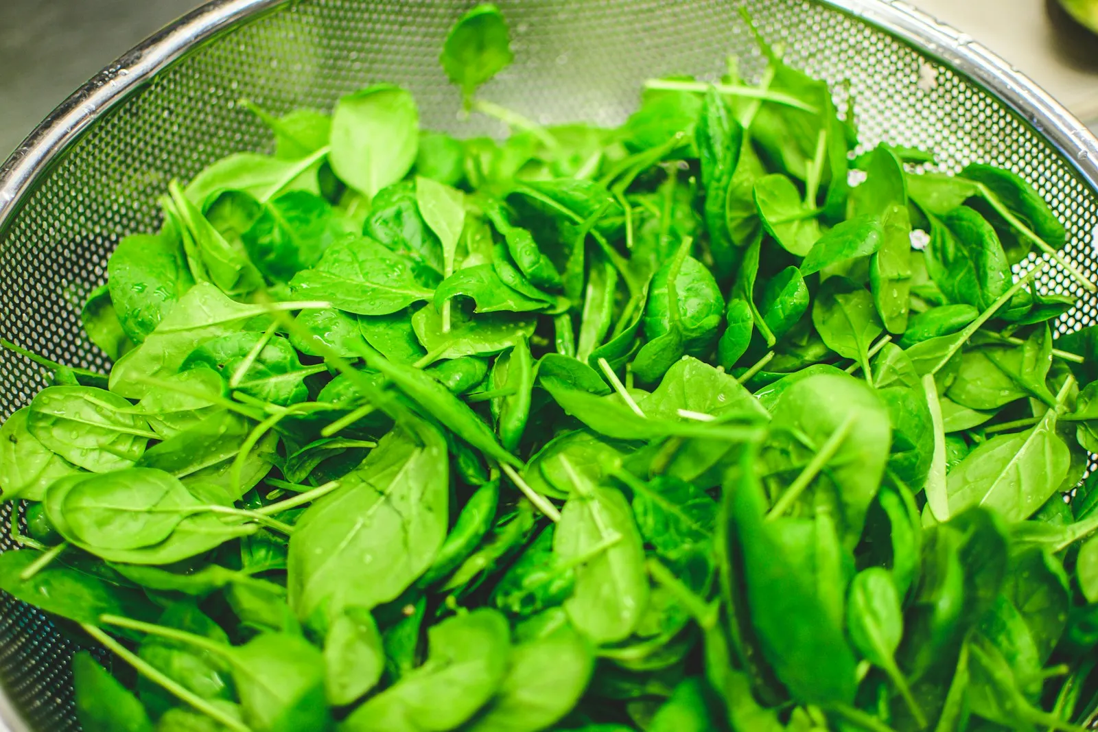 Freshly washed spinach leaves